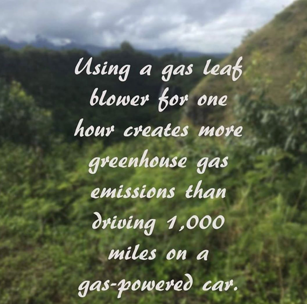 Gas Leaf Blower & Greenhouse Gas Emissions Renu