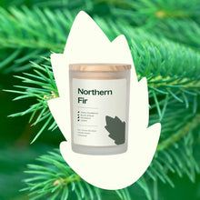 Northern Fir Naturally Scented Candle 8oz