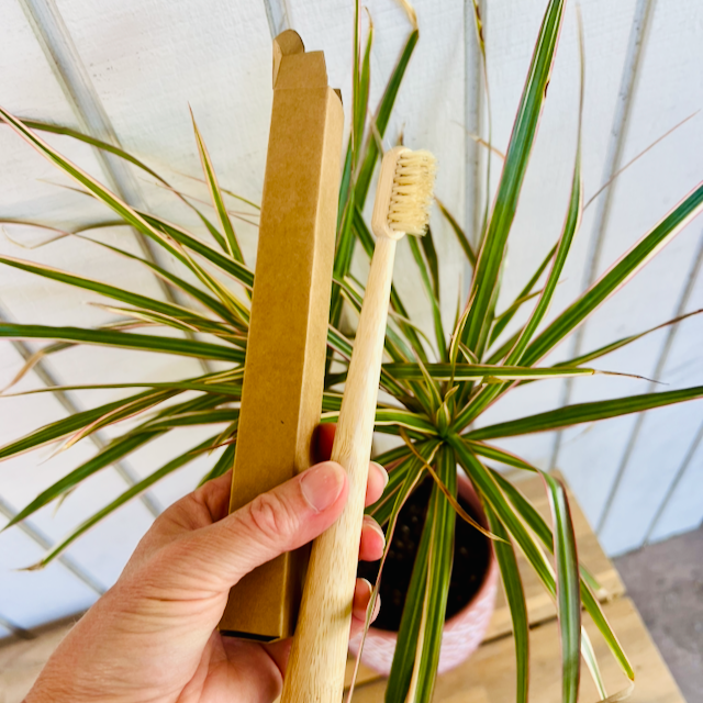 Zefiro - Bamboo Toothbrush - Soft Compostable Bristles