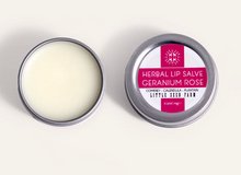 Little Seed Farm Lip Salve