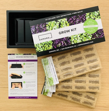 Microgreen Starter Kit