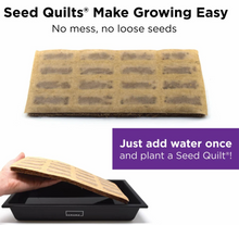 Microgreen Starter Kit