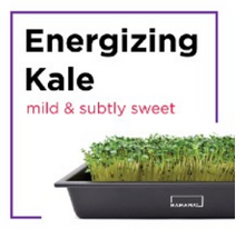 Microgreen Starter Kit