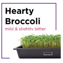 Microgreen Starter Kit