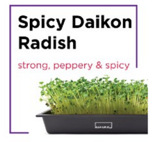 Microgreen Starter Kit