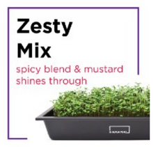 Microgreen Starter Kit
