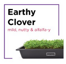 Microgreen Starter Kit