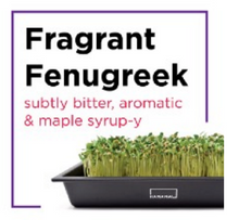 Microgreen Starter Kit