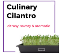 Microgreen Starter Kit
