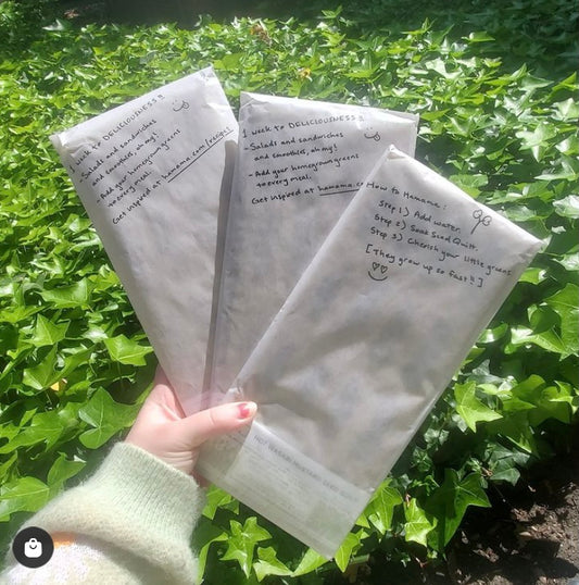 Micro Greens kit!