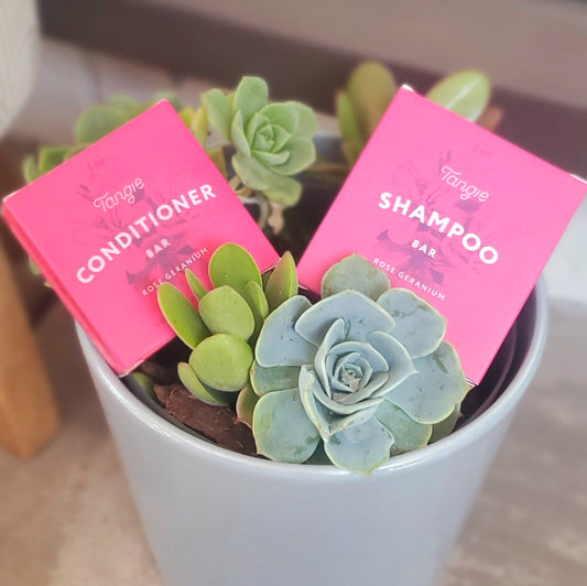 Shampoo & Conditioner Bars!