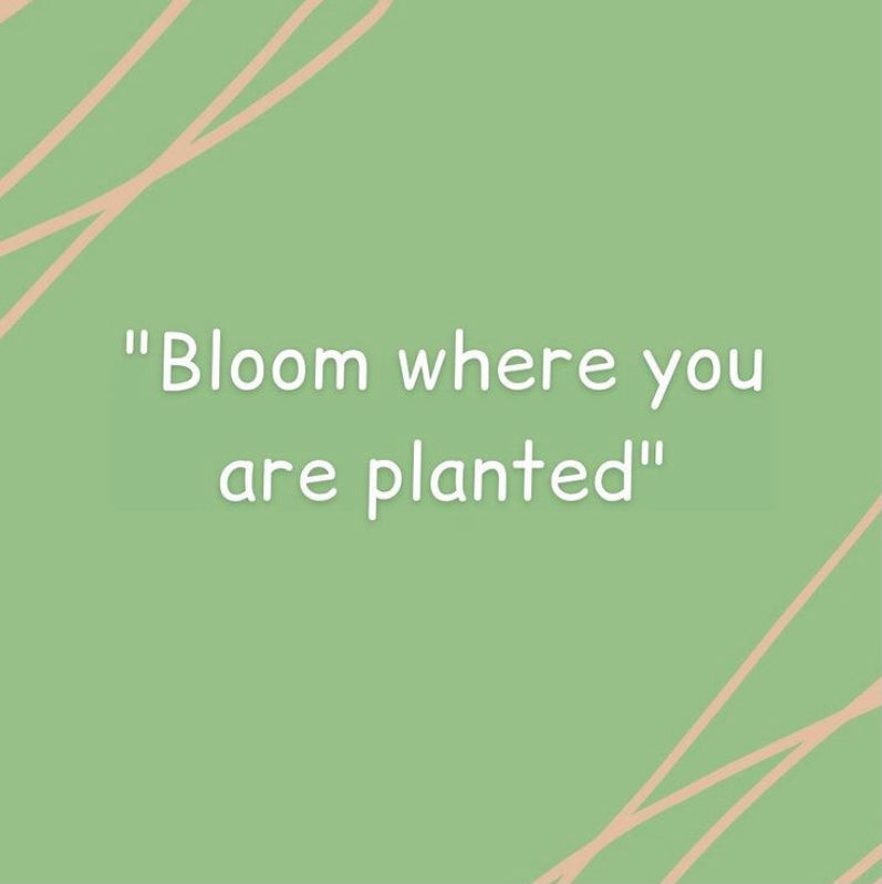 Monday Motivation ☺️🌷🌸