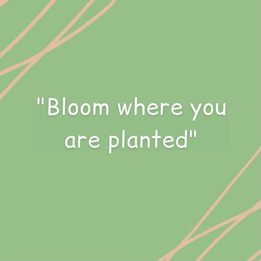 Monday Motivation ☺️🌷🌸
