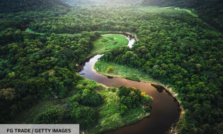 Amazon Forest- world's largest carbon sink