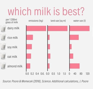Milk alternatives!