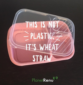 Wheat Straw Containers & Planet Renu
