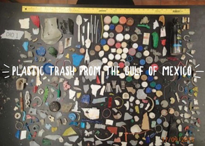 Plastic Trash from the Gulf of Mexico- an example of what's happening in our oceans