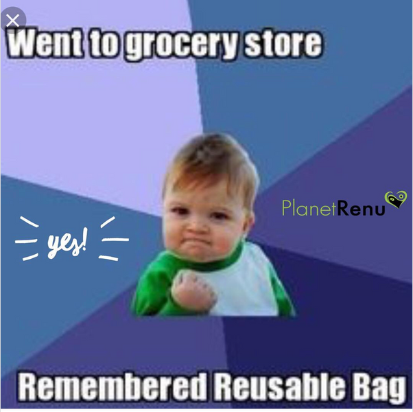 Remembered Reusable Shopping Bags :)