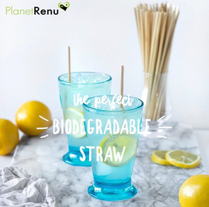 The Perfect Biodegradable Straw