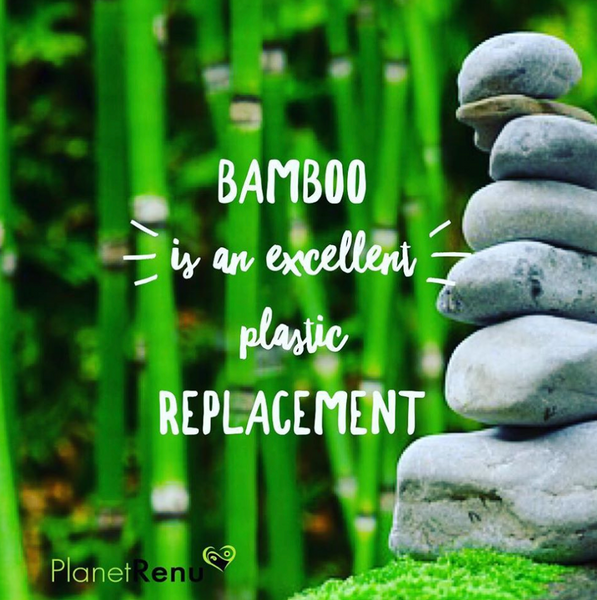 Bamboo is an Excellent Plastic Replacement