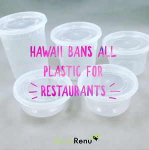 Hawaii is the First State to Ban ALL Plastics for Restaurants