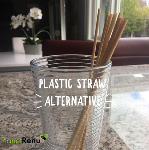 Ditch Plastic Straws Forever!