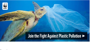 Join the Fight Against Plastic Pollution