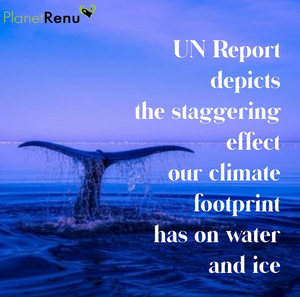 UN Report, climate footprint, climate change, preservation, planet renu, making a difference