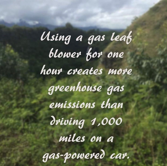greenhouse gas emissions