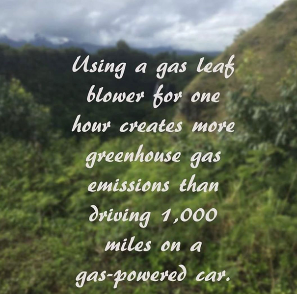 Gas Leaf Blower & Greenhouse Gas Emissions