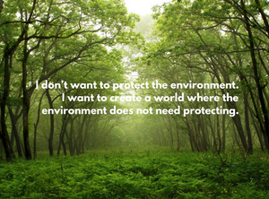 What is our end goal with the environment?