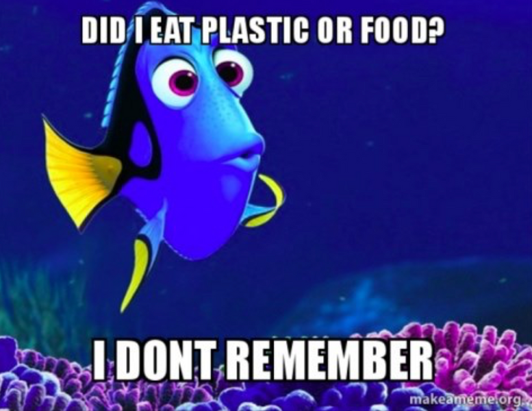 Plastic or Food?