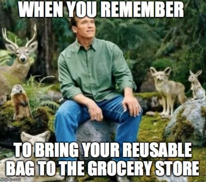 Bringing Your Reusable Bags to the Store :)