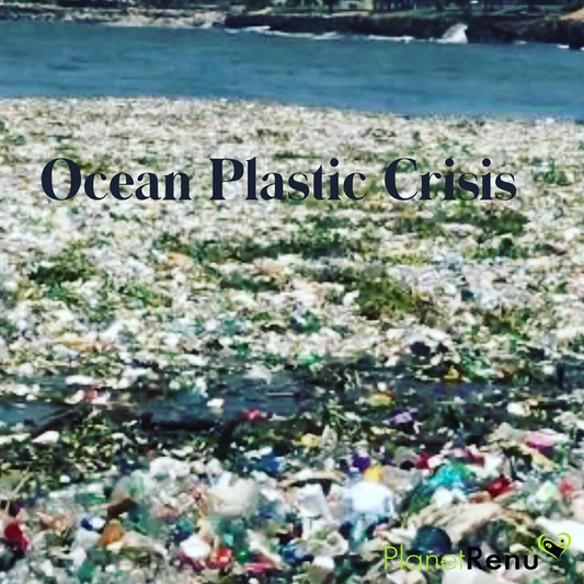 ocean plastic crisis