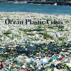 ocean plastic crisis