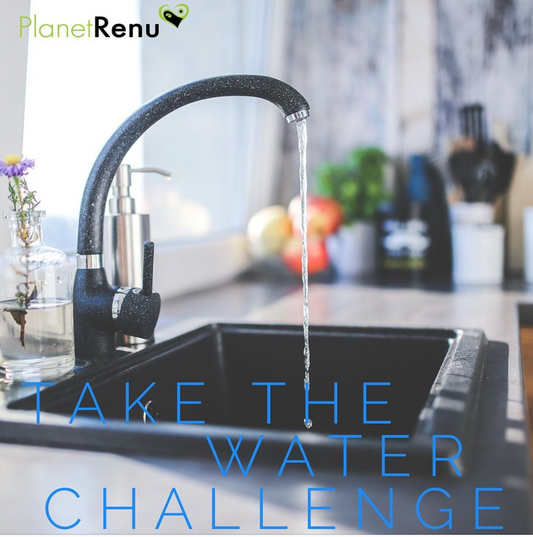 water challenge, carbon footprint 