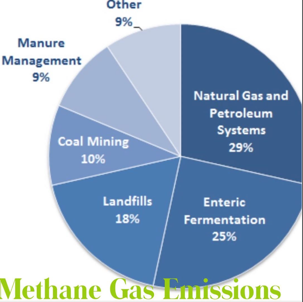 Methane Emissions Examples Methane Gas Emissions – Planet Renu