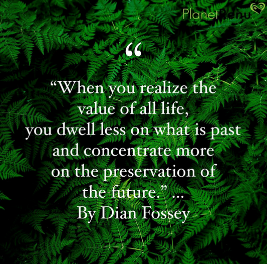 Inspiration and Life