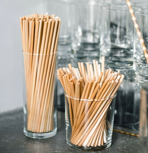 The Plastic Straw Replacement!