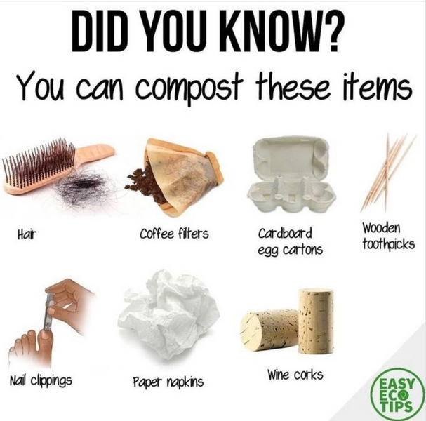 Eco Tip: Compostable Items