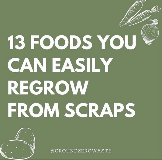 Eco Tip: Food you can easily regrow from scraps