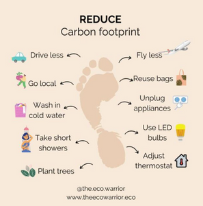 How to Reduce your Carbon Footprint