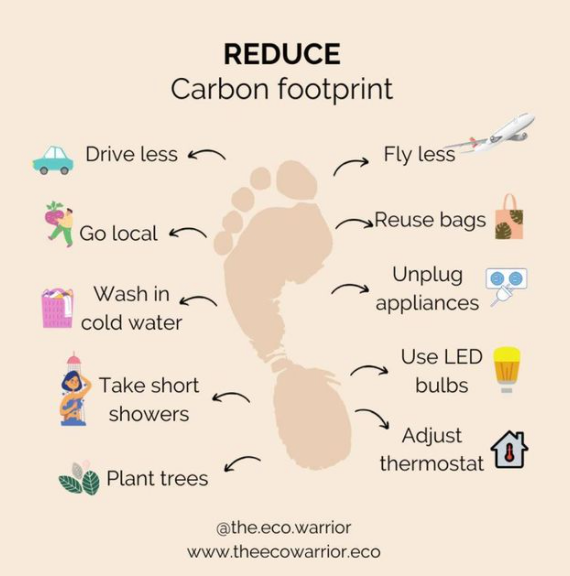 How to Reduce your Carbon Footprint