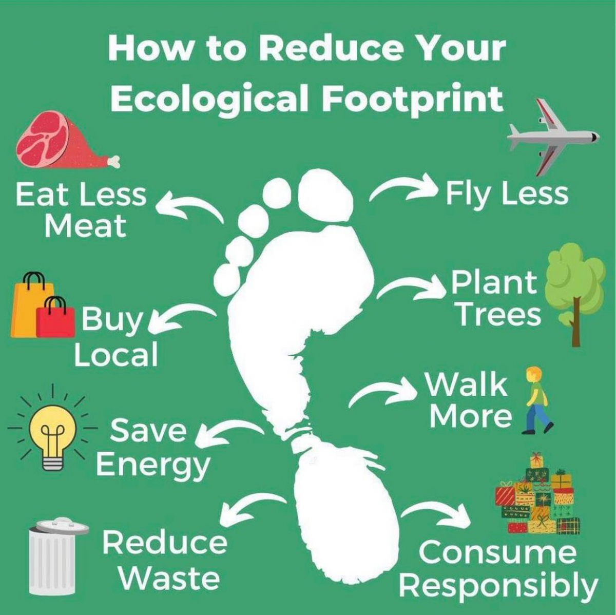How To Reduce Your Ecological Footprint Renu