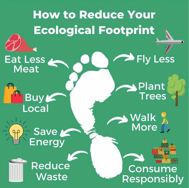 How To Reduce Your Ecological Footprint