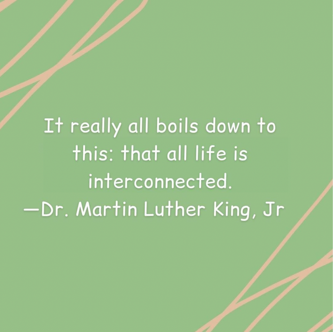 All Life Is Interconnected