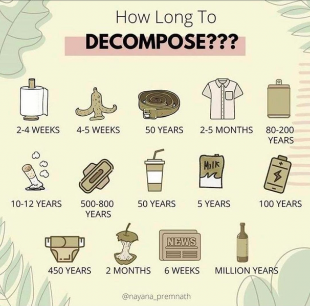 How Long To Decompose?