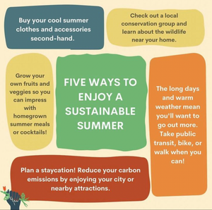 Five Ways To Enjoy A Sustainable Summer