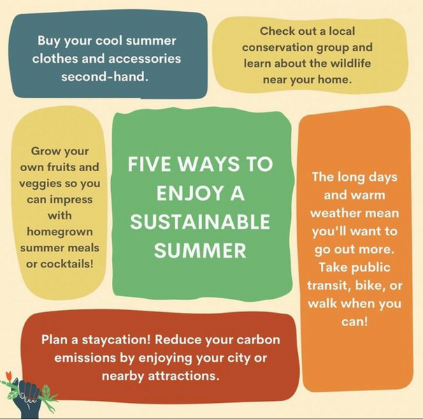 Five Ways To Enjoy A Sustainable Summer