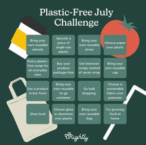 Plastic-Free Challenge